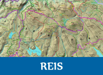 Reis Reis